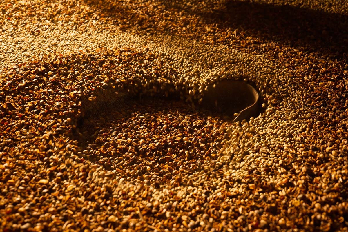 Coffee Chicory Blends And Flavours